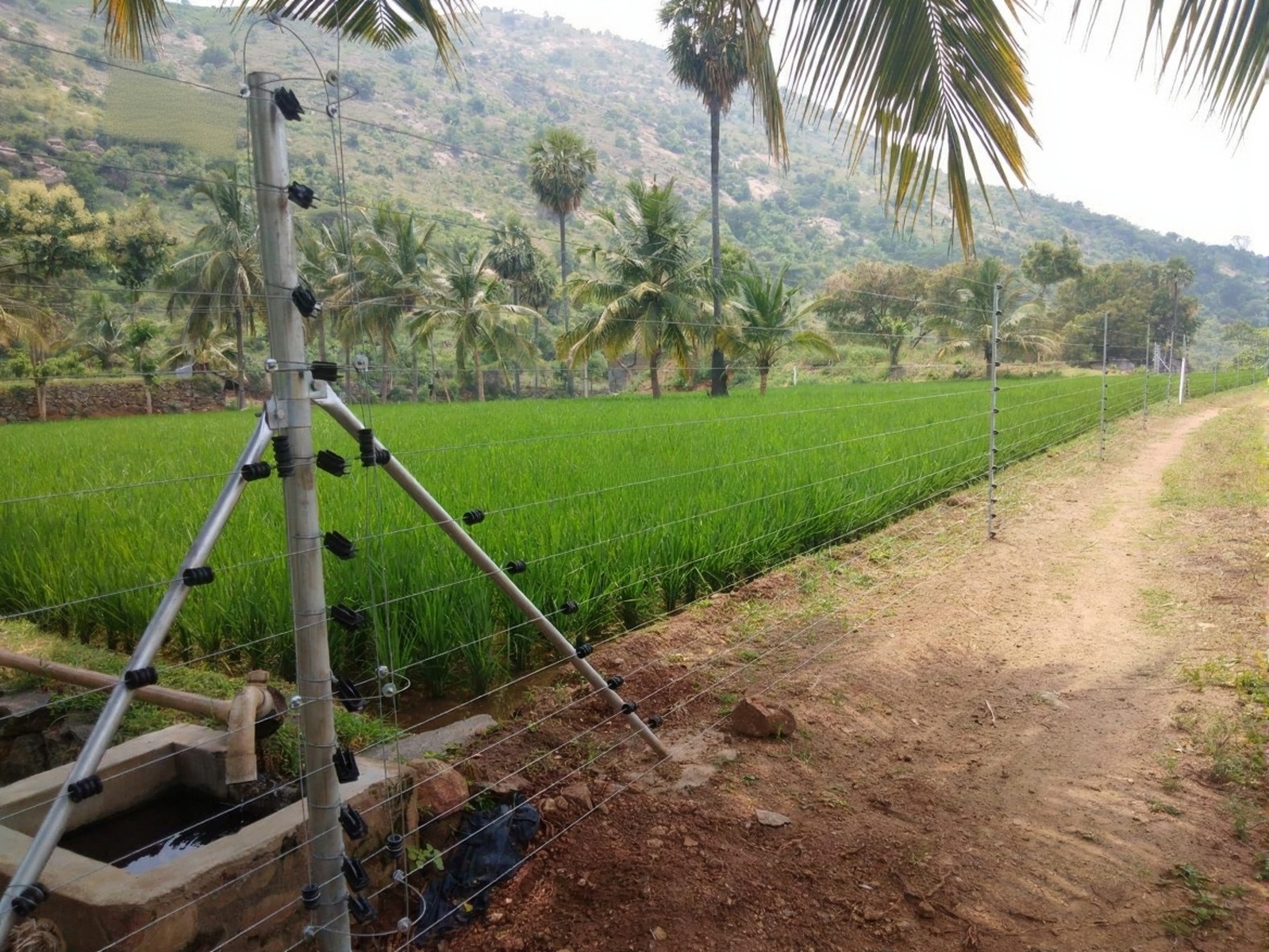 Agricultural Fencing